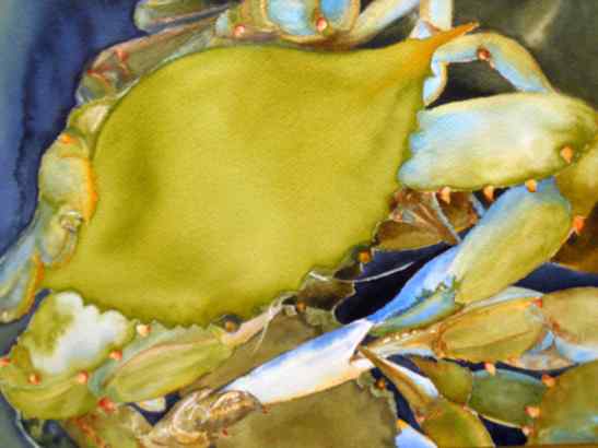 2012 Wan BeautifulSwimmer 15.5X11.5