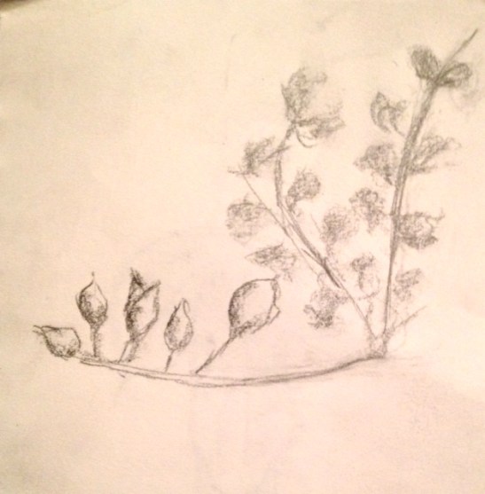 Eileen#3 FalseIndigoWithSeedpods