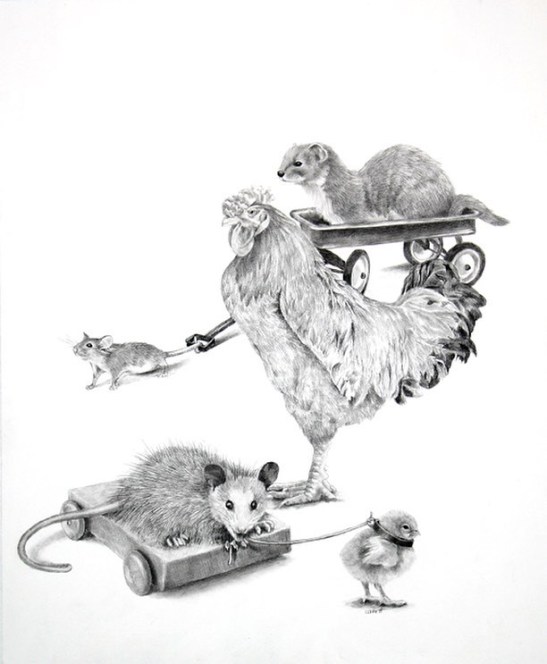 Ellen Possum Chased the Weasel