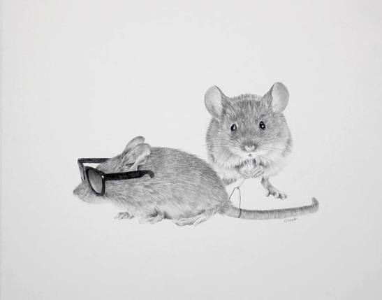 Ellen The Third Blind Mice. Another Sewing Project