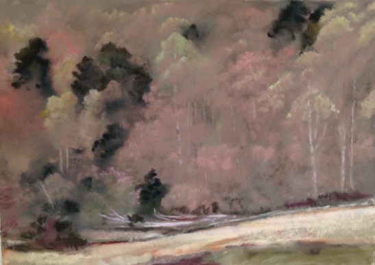 Martha - Spring Bloom in Shenandoah