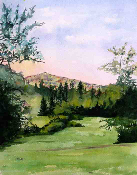 Tara- %22Deer Lake View%22