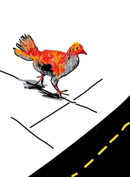 Tara Why does the Chicken Cross the Road