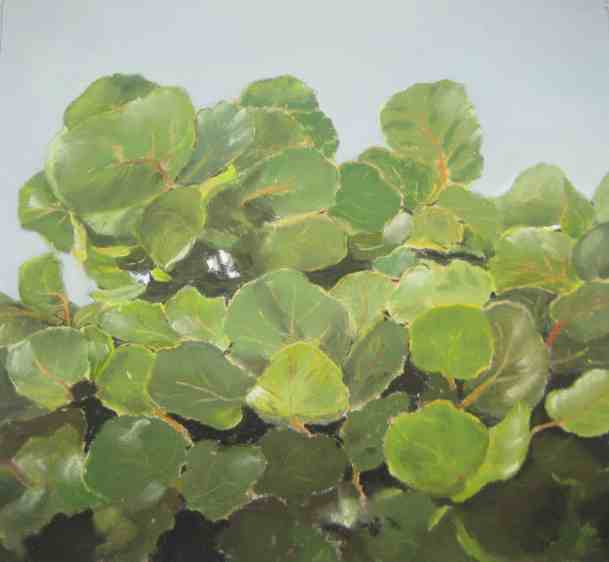 Anne Shields: Eating Your Greens