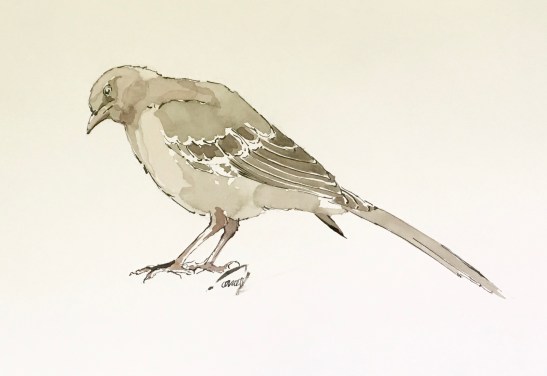 ellen-pen-ink-watercolor