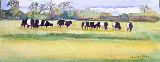 tara-cows-view-from-the-road