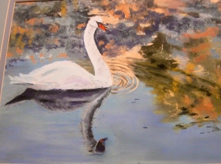 Anne Shields 2015 Swan