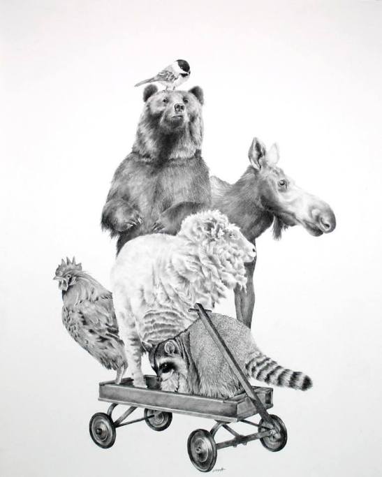 ellen-awkward-moment-on-the-ark