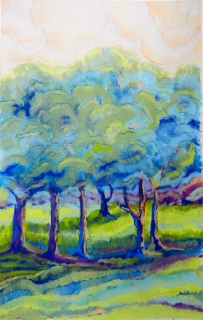 Martha Pope Olive Grove 2013