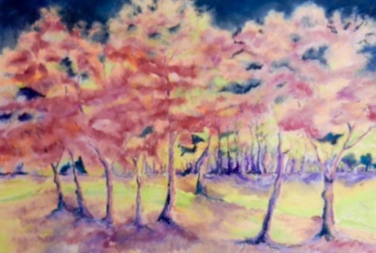 martha-vermont-maples-2