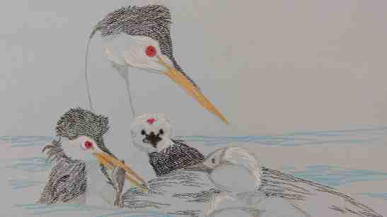 linda-andreatta-pastel-pencils