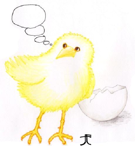 thoughtful-chick_tee