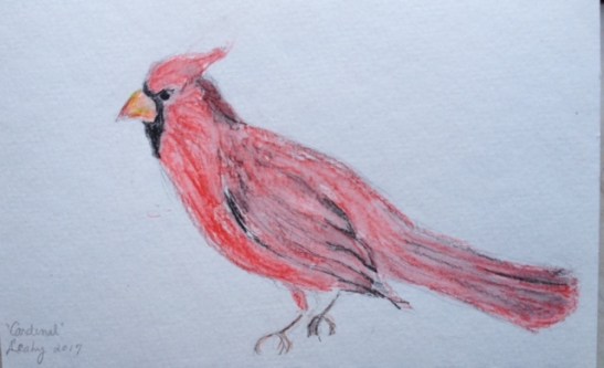 eileen-leahy-cardiinal