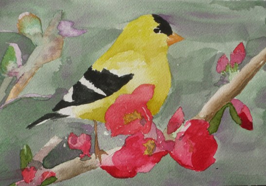 2013 1 Goldfinch