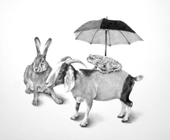 ellen-cornett-black-umbrella