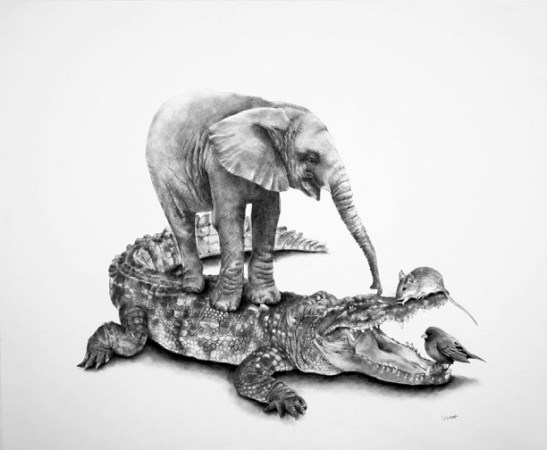 ellencornett-teasing-the-crocodile