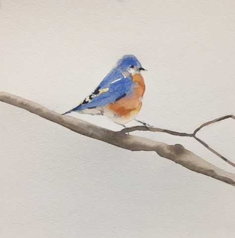 tara-hamilton-bluebird-watercolor