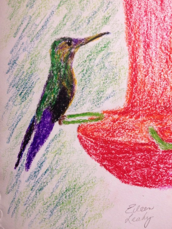 Eileen Leahy Hummingbird in Costa Rica wax pastels
