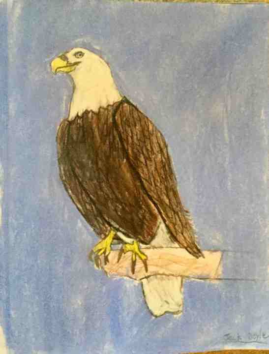 Jack Doyle, age 12. Watercolor pencils and pastels