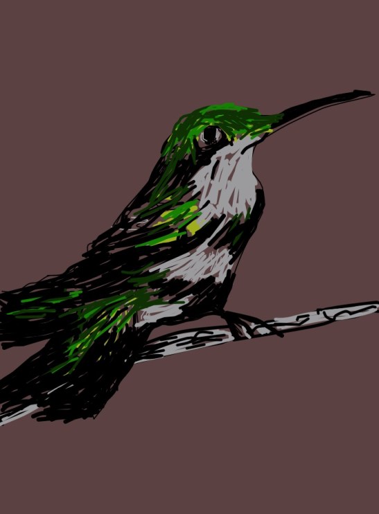 Tara Hamilton Hummingbird iPad