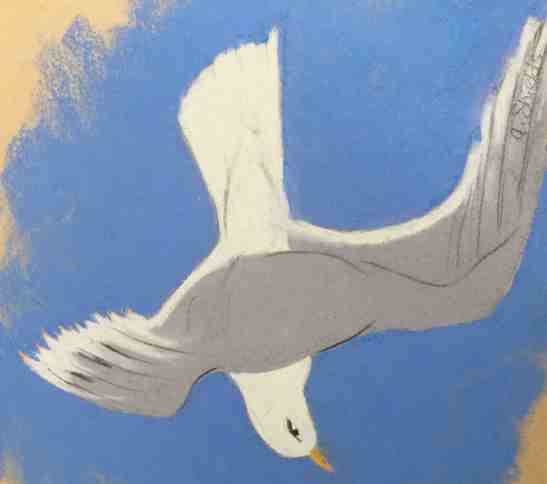 Anne Shields Iceland Gull over Cape Cod Bay Pastel on construciton paper