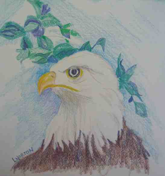 Linda Norton Bald Eagle colored pencil