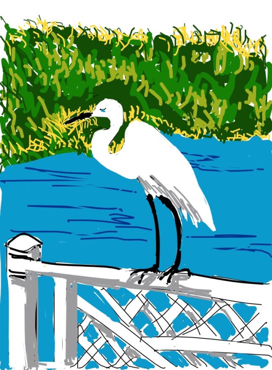 Tara Hamilton AngryBird iPad