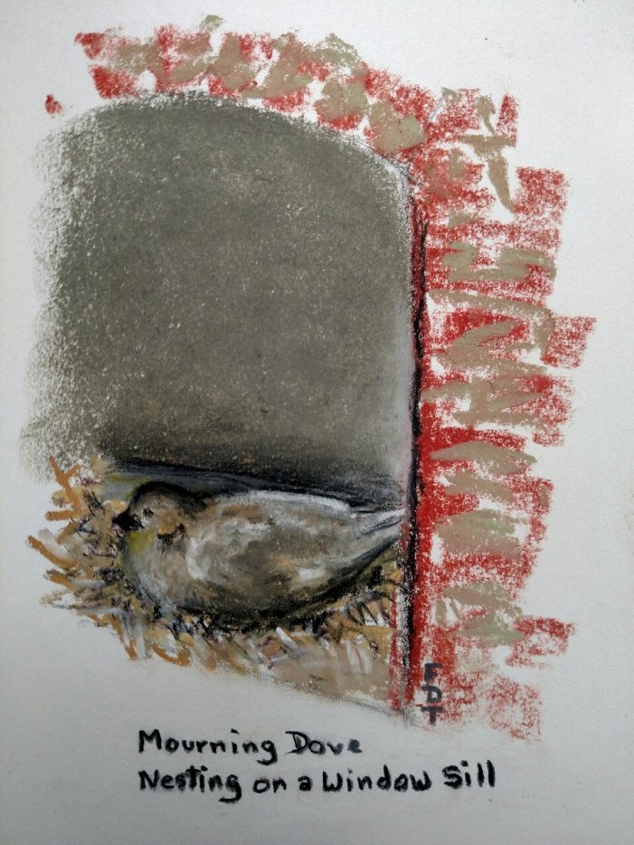 Fran Tomlinson carbon pencil and pastel