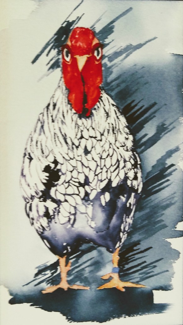 Linda Norton You Lookin' at Me?