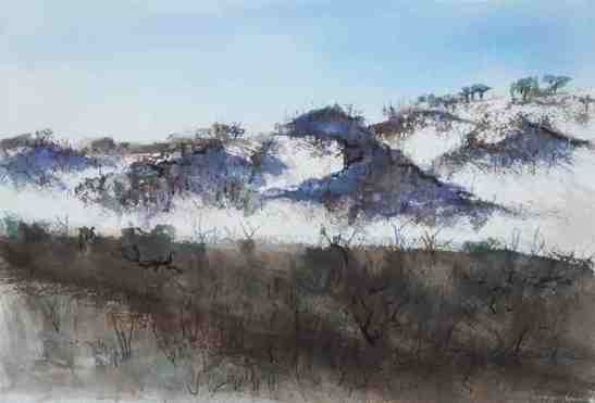 Kay Elsasser Sand Dunes, St. George Island