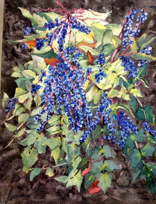 Tara Hamilton Frangipini