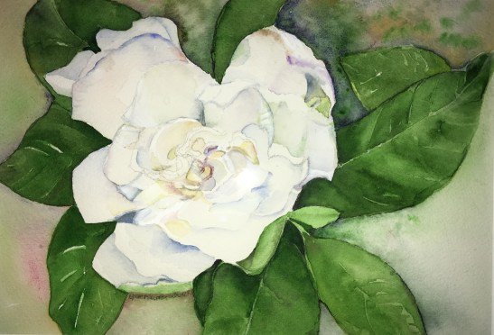 Lynne Mallonee Schlimm lone gardenia