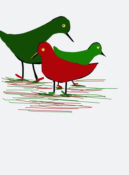 Tara Hamilton Three Wise Birds iPad