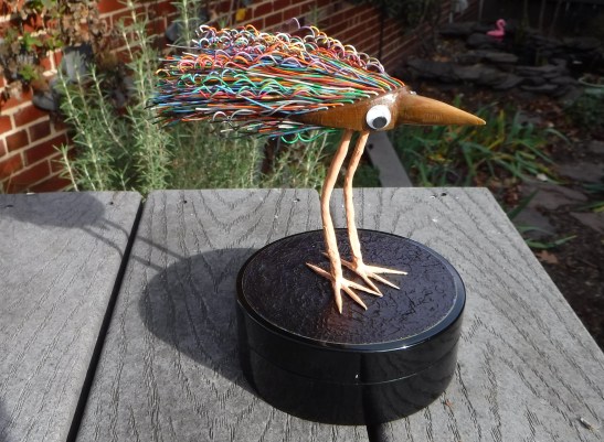Tom Eichenberger Random Waterfowl