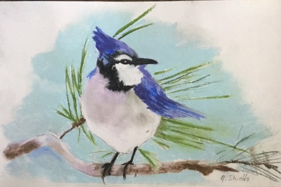 Anne Shields Blue jay pastel