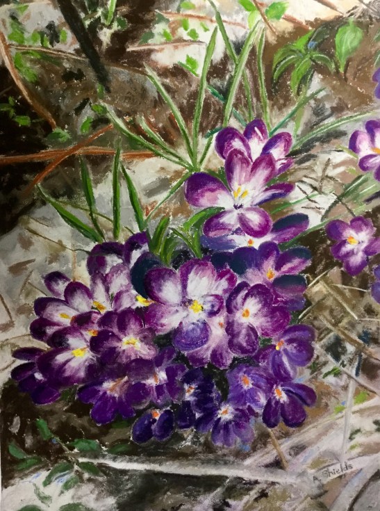 Anne Shields First Sign of Spring