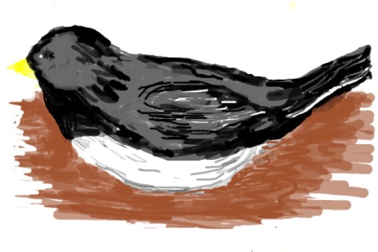 Eileen Leahy Slate Colored Junco Resting in the Cold