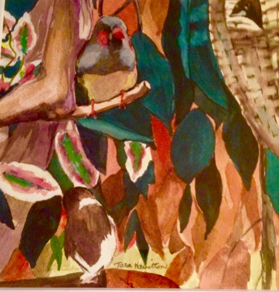 Tara Hamilton: Dad's Birds