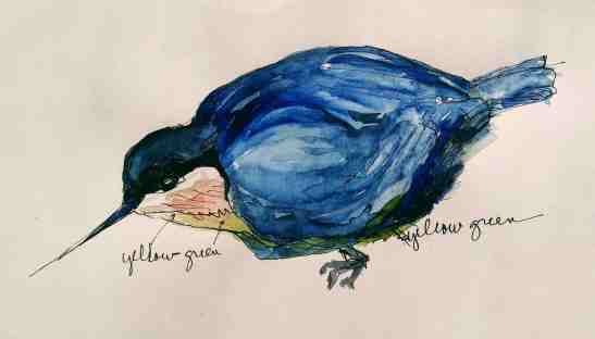 Linda Norton Nuthatch 2