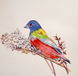 Tara Hamilton Kaleidescope Bird