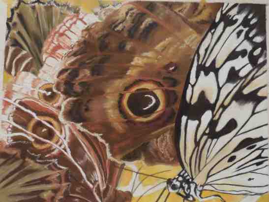 Linda Andreatta The Eyes Have It