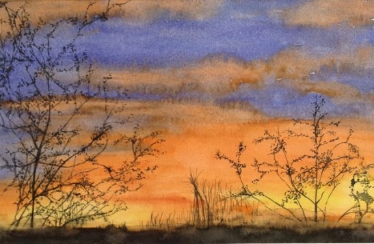 Tara Hamilton Sky Shimmer