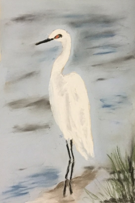 Anne Shields Snowy Egret Cape Cod pastel