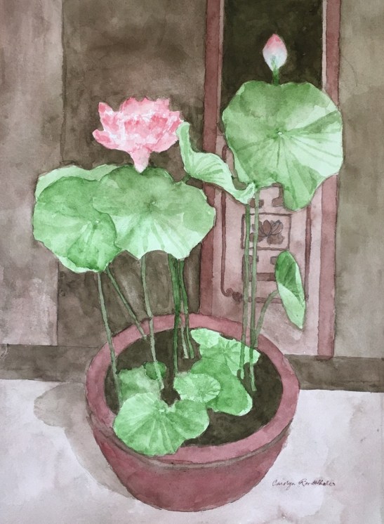 Carolyn Rondthaler LOTUS watercolor