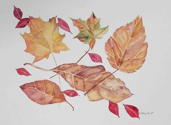 Nancy Arbuthnot Fallen Leaves