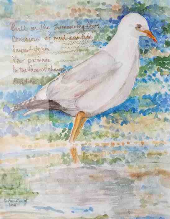 Nancy Arbuthnot Gull on the Simmering Flats