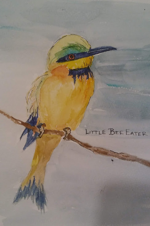 Linda Norton Little Bee Eater