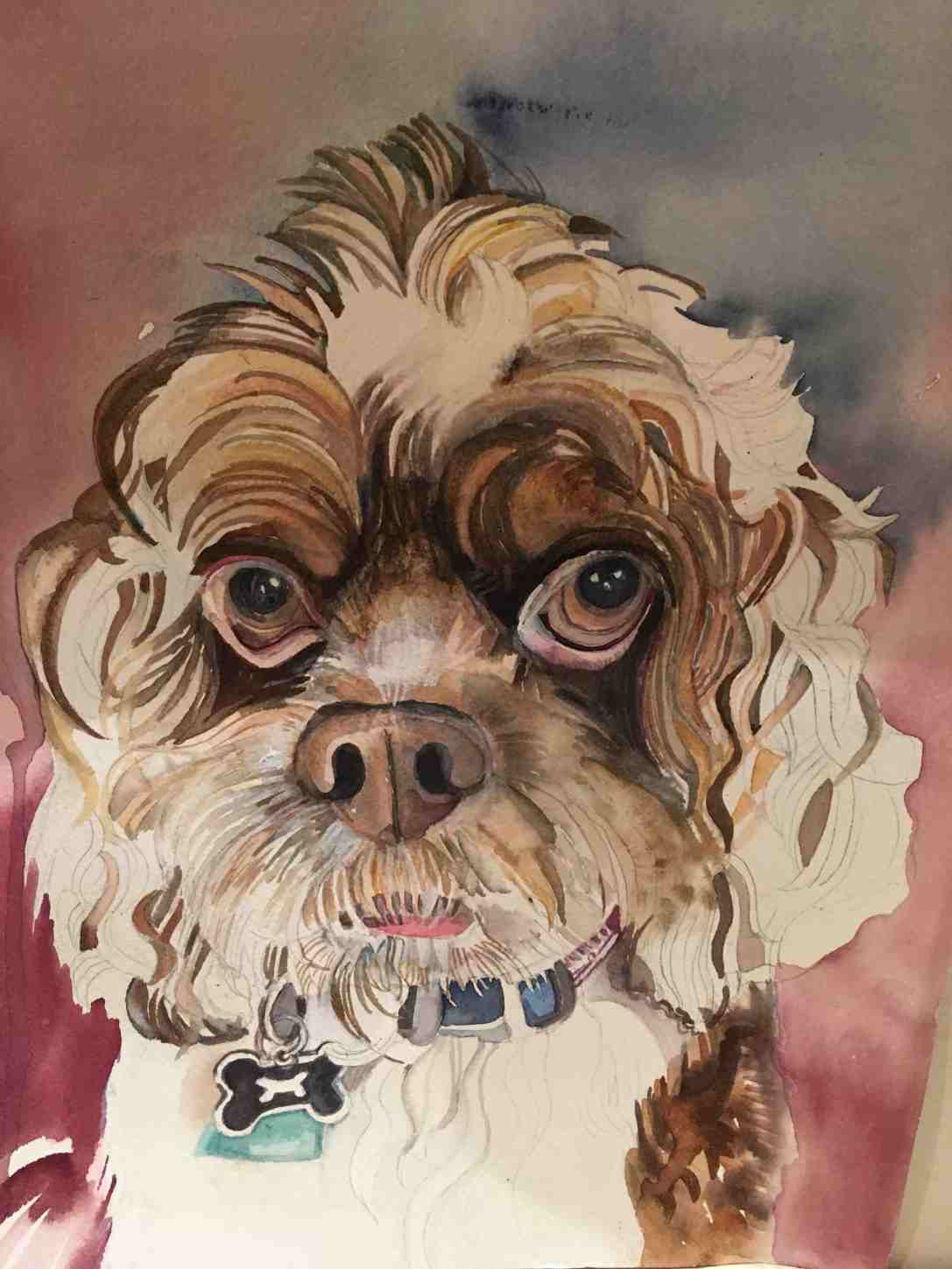 Lynne Mallonee Schlimm white ears