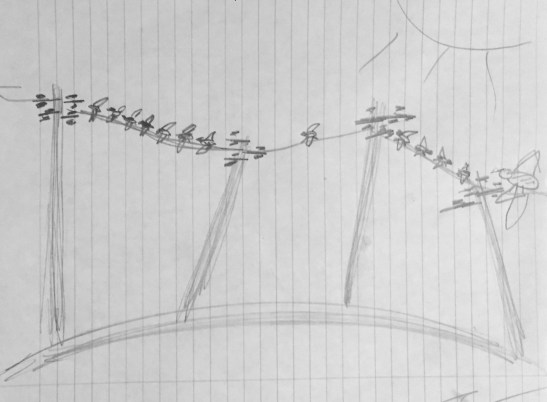 Torsten Jahr Birds on a Wire