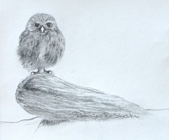 Pat Stocks Baby Owl Pencil